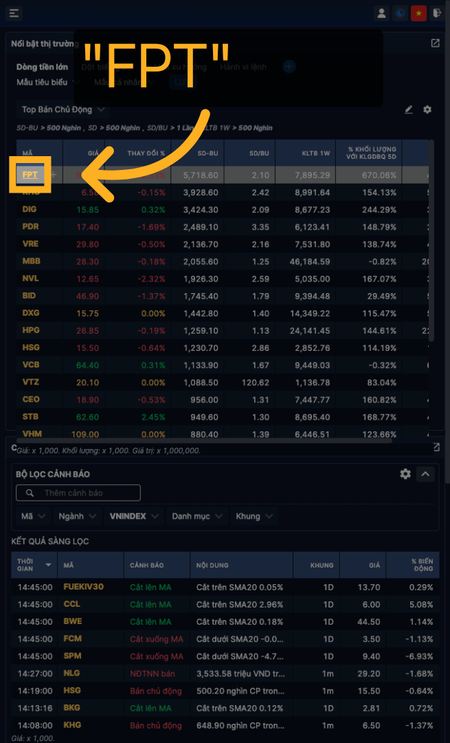 Select FPT Stock