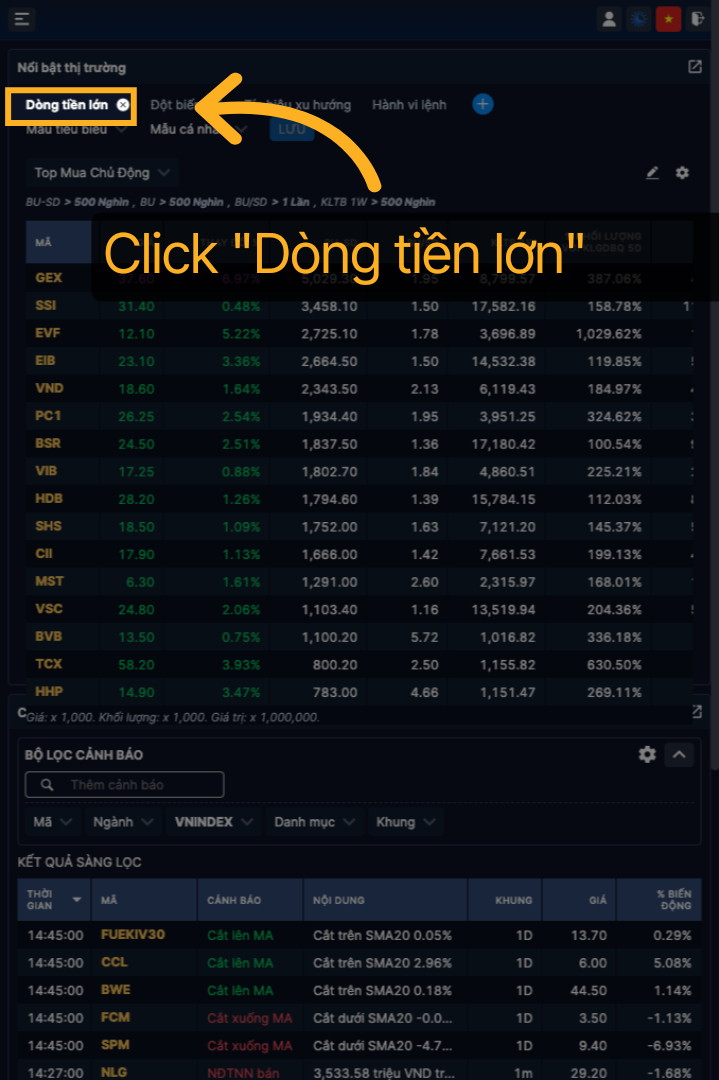 Select Large Cash Flow