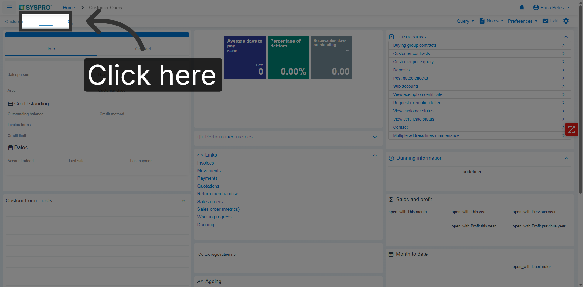 Navigate to Customer Query