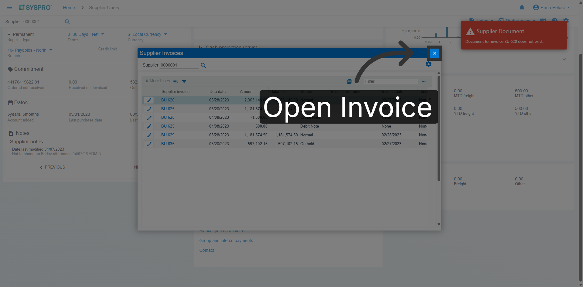 Open Invoice Details