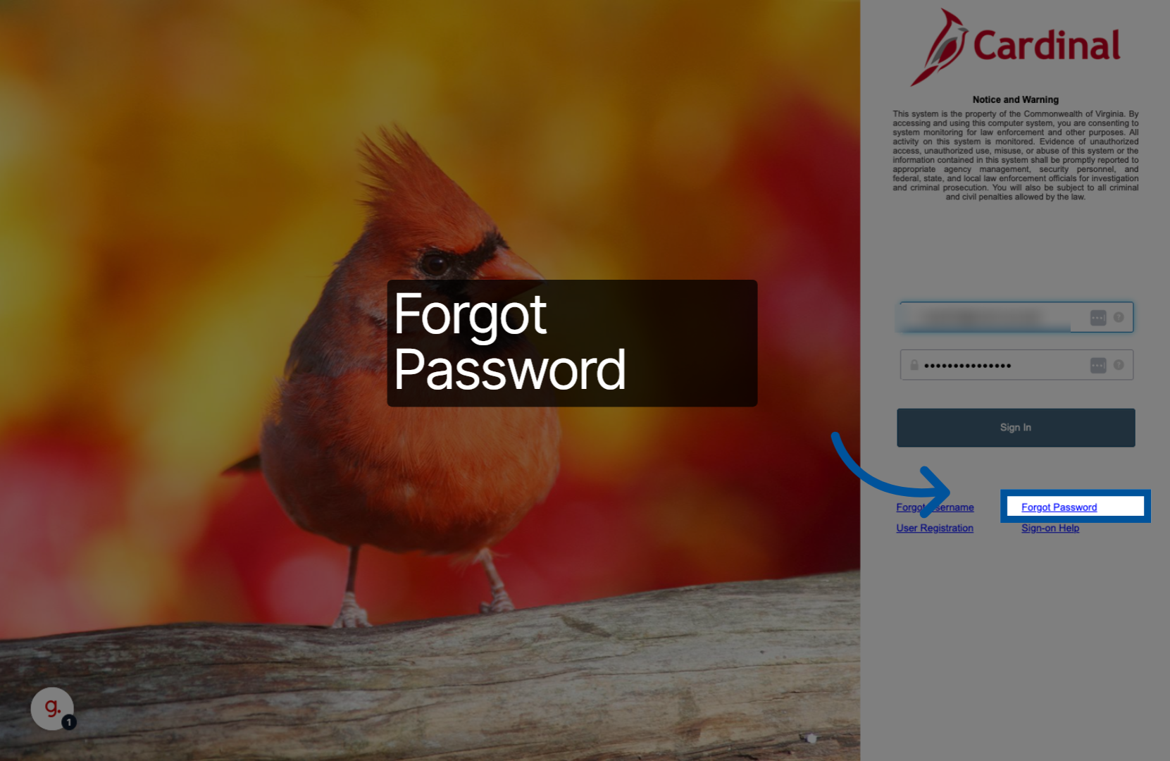 Screenshot highlighting the Forgot password link on Cardinal login page