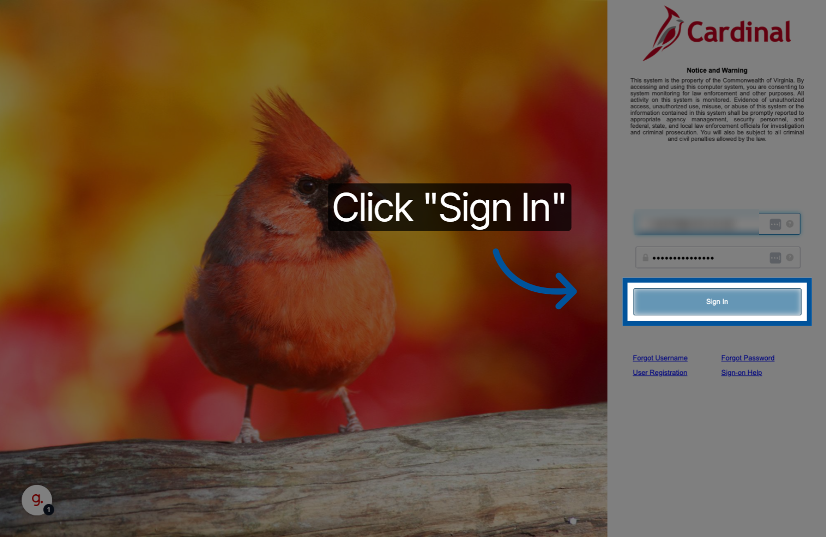 Screenshot showing the Sign In button on Cardinal login page