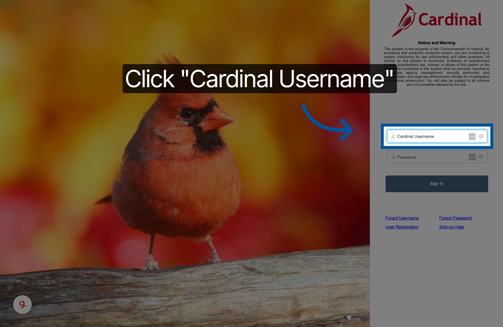 Screenshot highlighting the Cardinal username input field on the login page