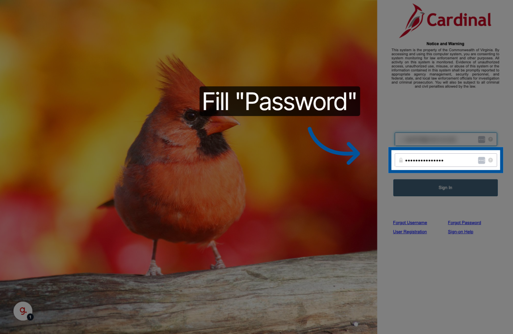 Screenshot showing the password field on Cardinal login page