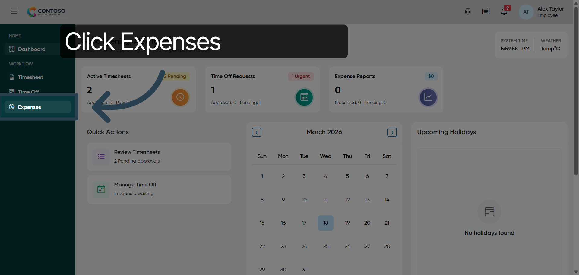 Access Expenses Section